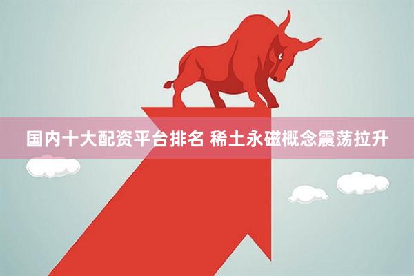 国内十大配资平台排名 稀土永磁概念震荡拉升